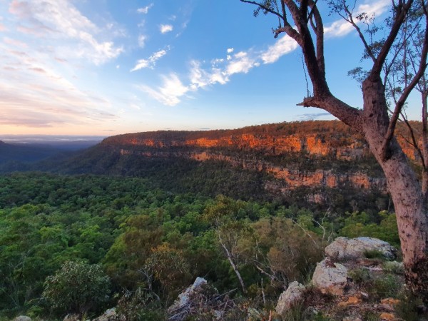 Sunrise in Blackdown Tableland NP